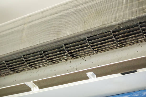 Best Duct Cleaning for Homes  in Mullins, SC